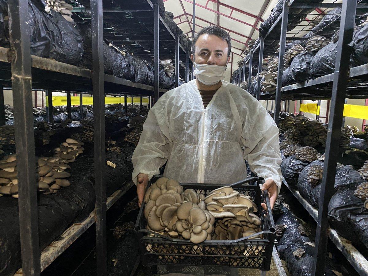 Bartın’da Genç Çiftçi Projesi ile kendi mantar üretim tesisini kurdu