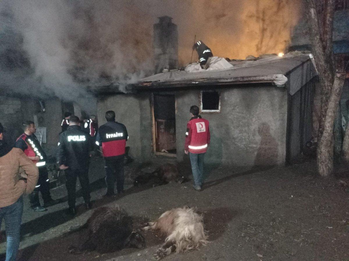 Ağrı'da çıkan yangında 16 hayvan öldü