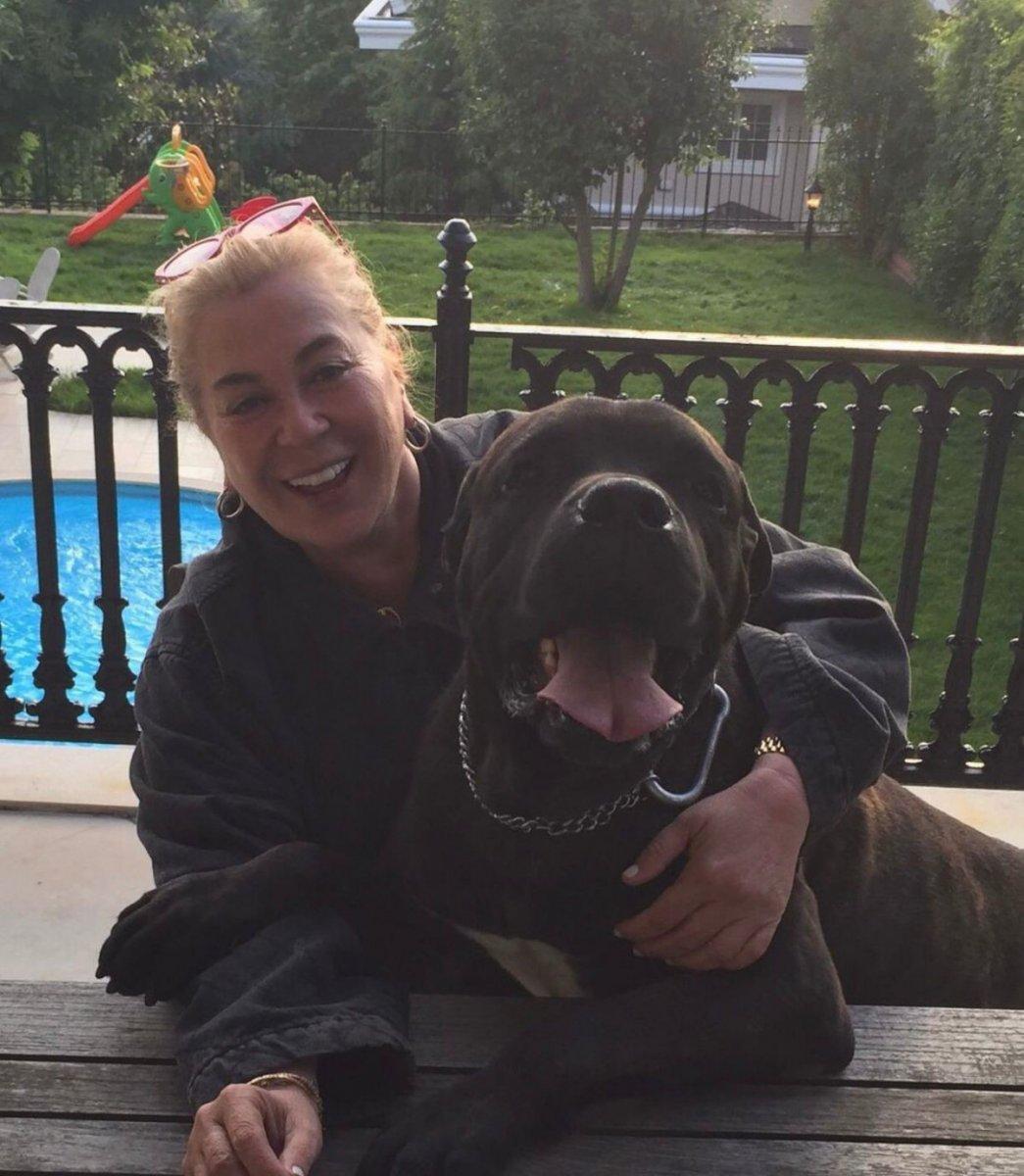 Zerrin Özer hastaneye kaldırıldı