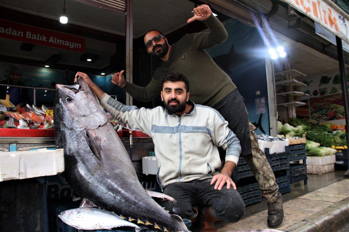 Elazığ'da 144 kiloluk dev orkinos