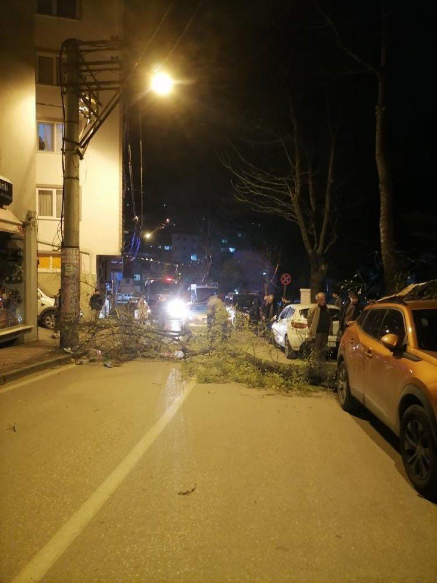 Bursa'da lodos hayatı felç etti