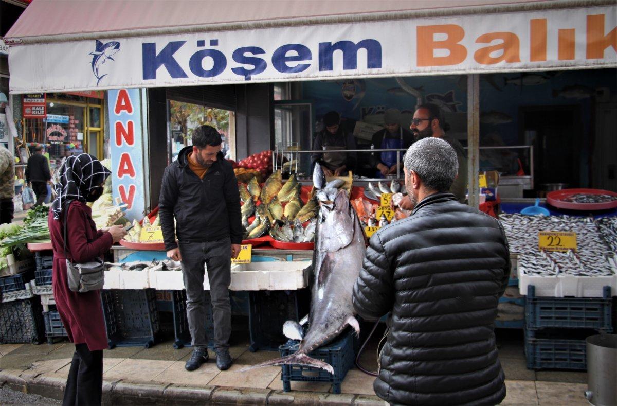 Elazığ'da 144 kiloluk dev orkinos