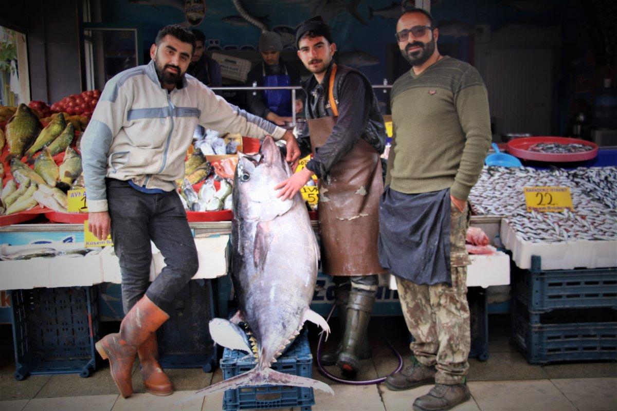 Elazığ'da 144 kiloluk dev orkinos