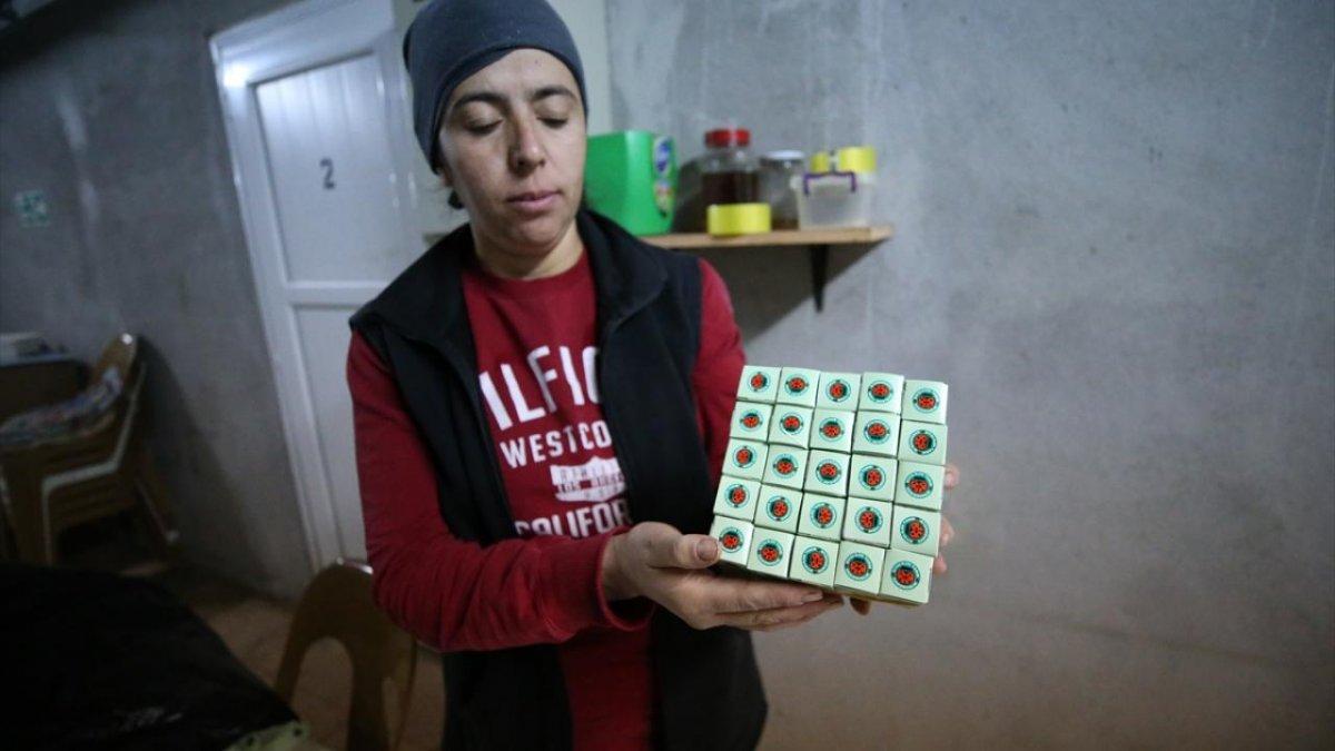 Hatay'da unlu bite karşı faydalı böcekler üretiliyor