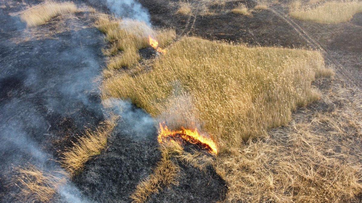 Eber Gölü'ndeki yangına müdahale edilemiyor