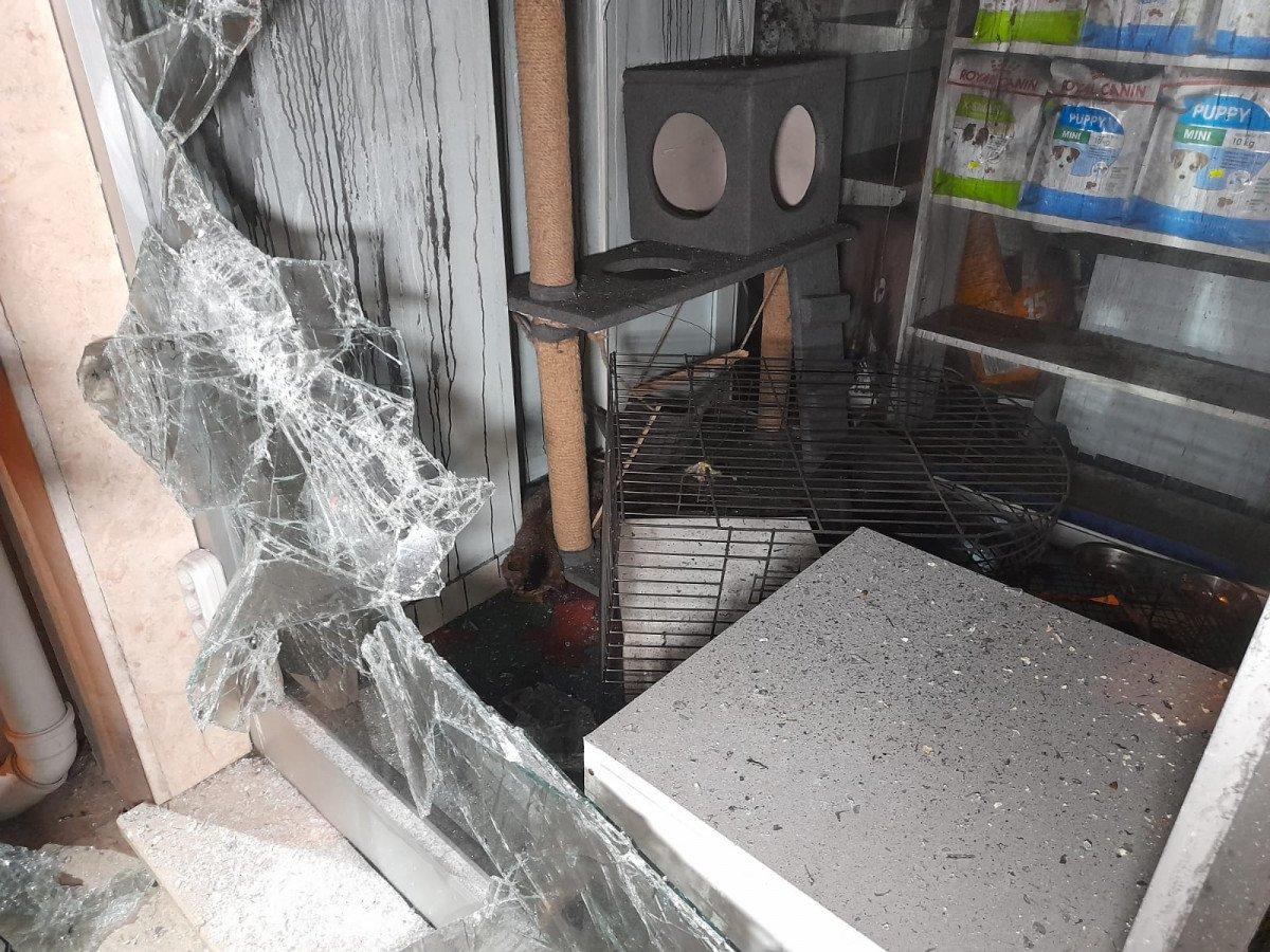 Bayrampaşa'da pet shop'ta çıkan yangında, çok sayıda hayvan öldü