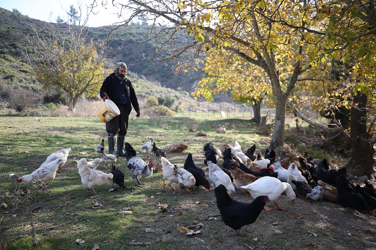 İstanbul'da iş stresinden bunalan mühendis, Kazdağları'nda 'dağ adamı' oldu