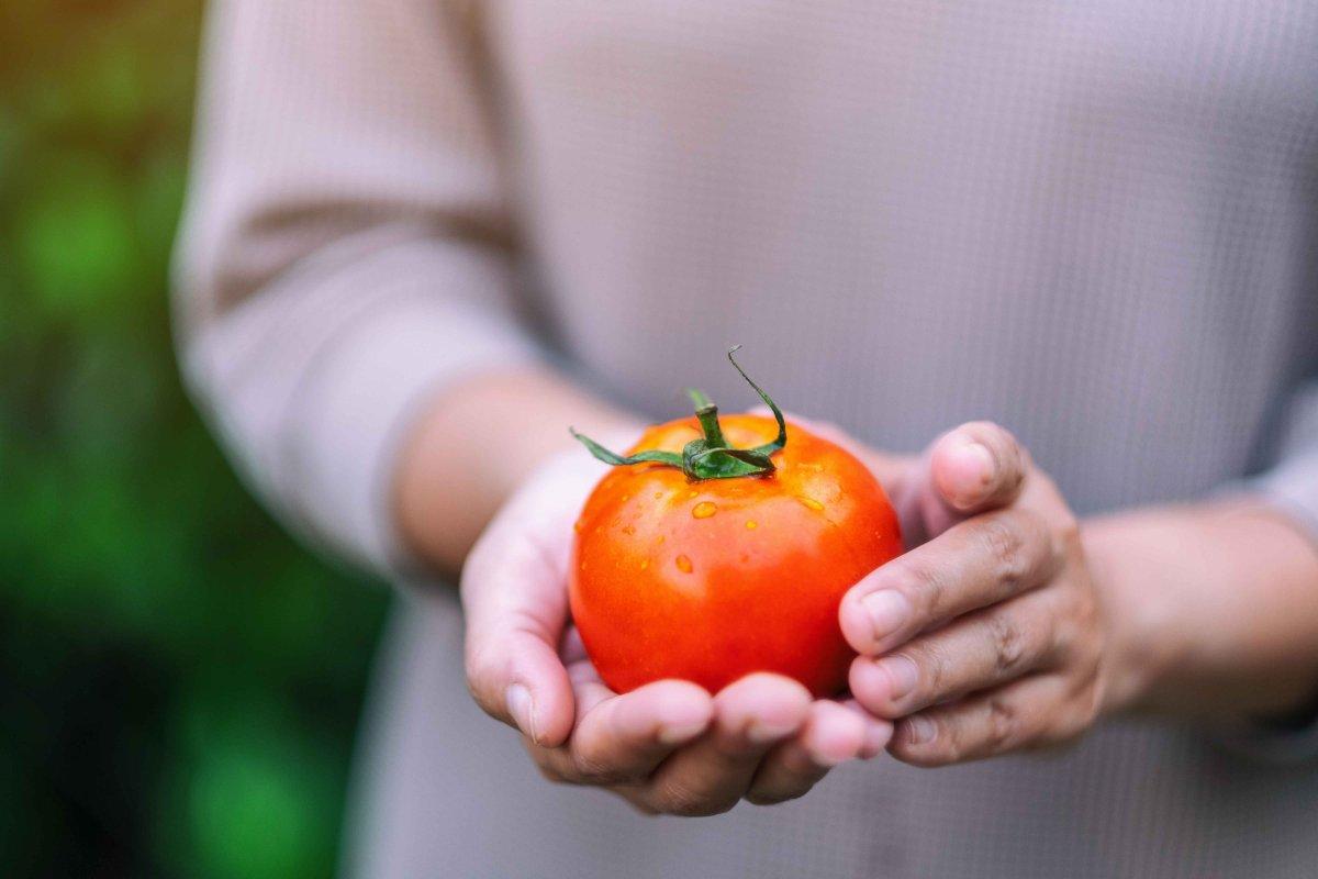 Bu kış cildinizi nemli tutmaya yardımcı olacak 10 besin