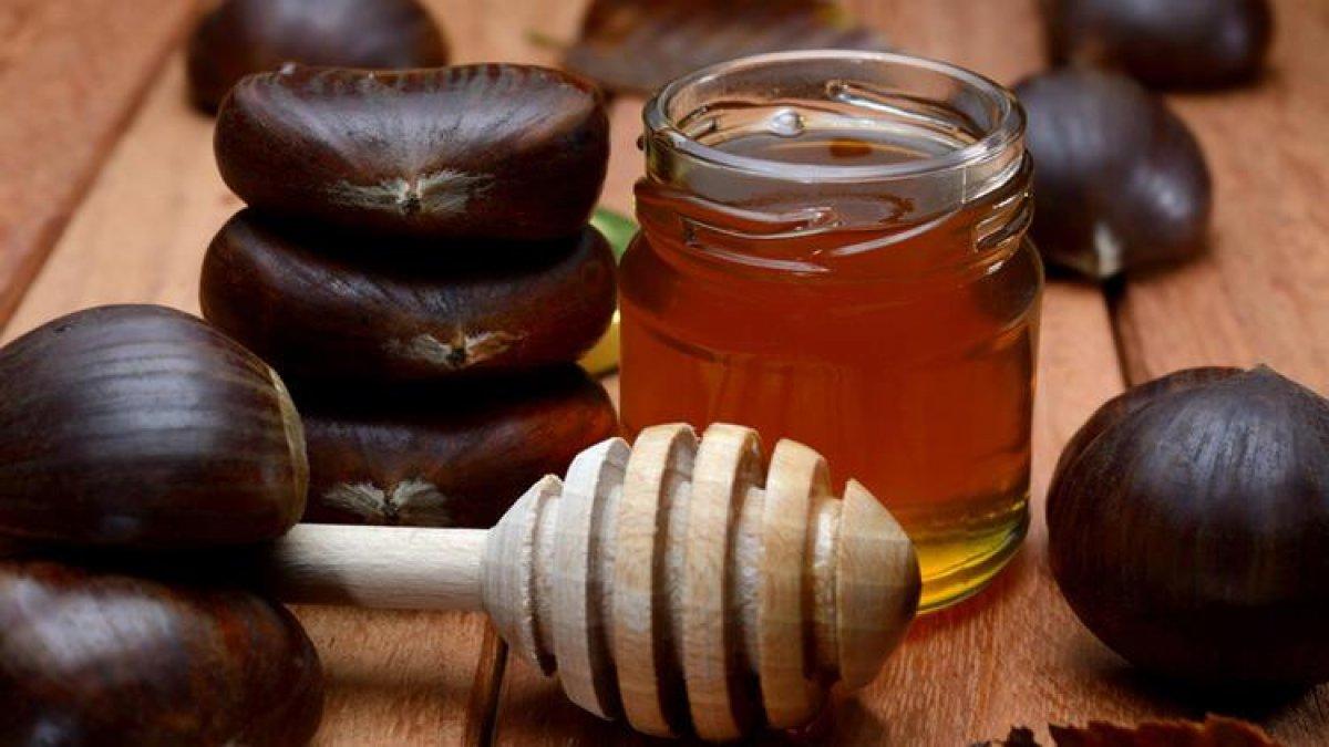 Zonguldak'tan gelen şifa: Kestane balının mucizevi faydaları