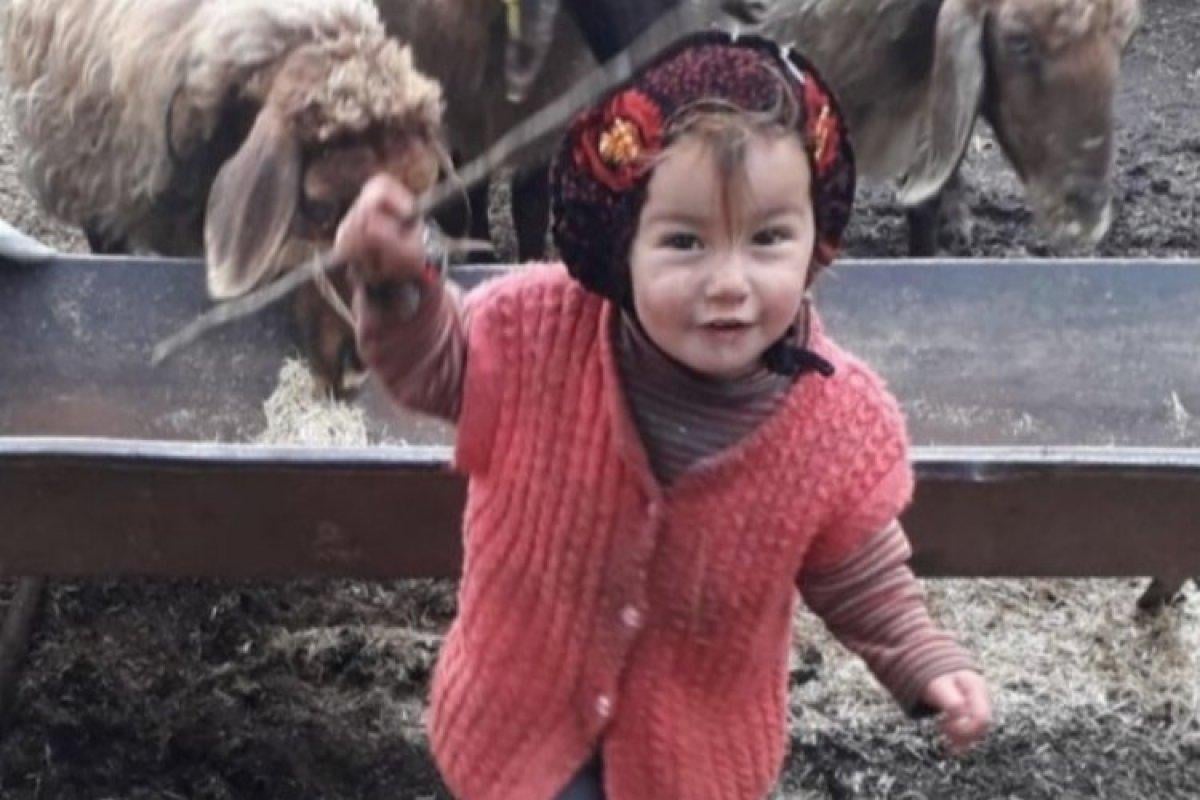 Hasan Yağal öldü mü? Müslüme davasında son gelişmeler...