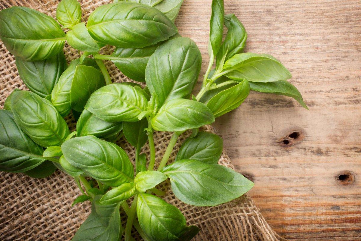 Doğal antibiyotik görevi gören ve enfeksiyonları önleyen 15 besin