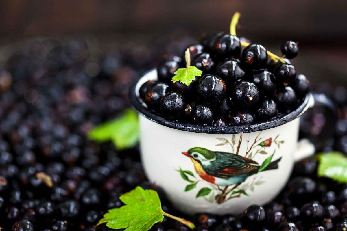 Doğal antibiyotik görevi gören ve enfeksiyonları önleyen 15 besin