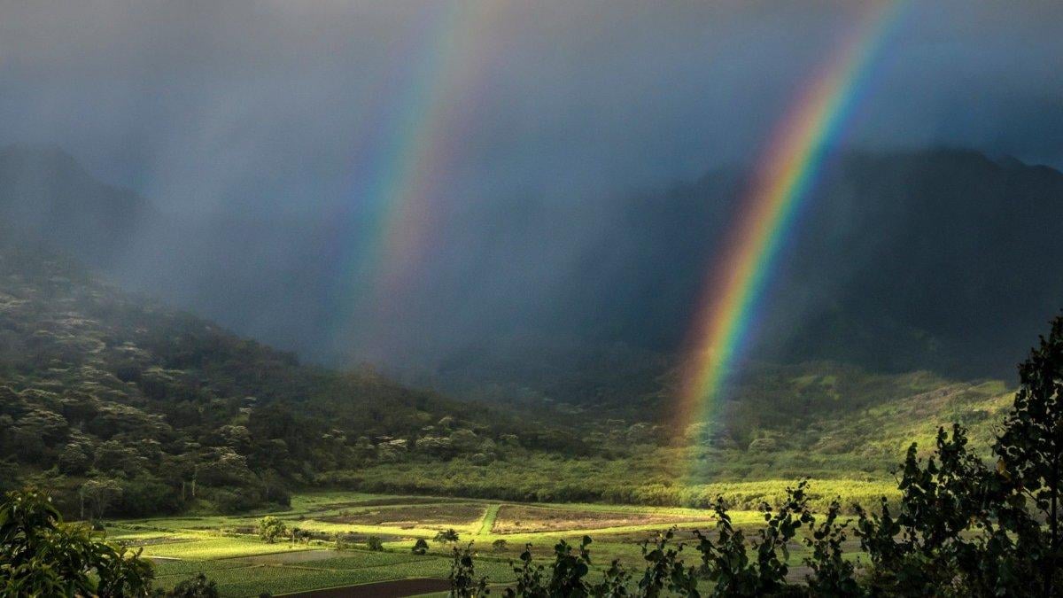 Gökkuşağı neden 7 renkten oluşur