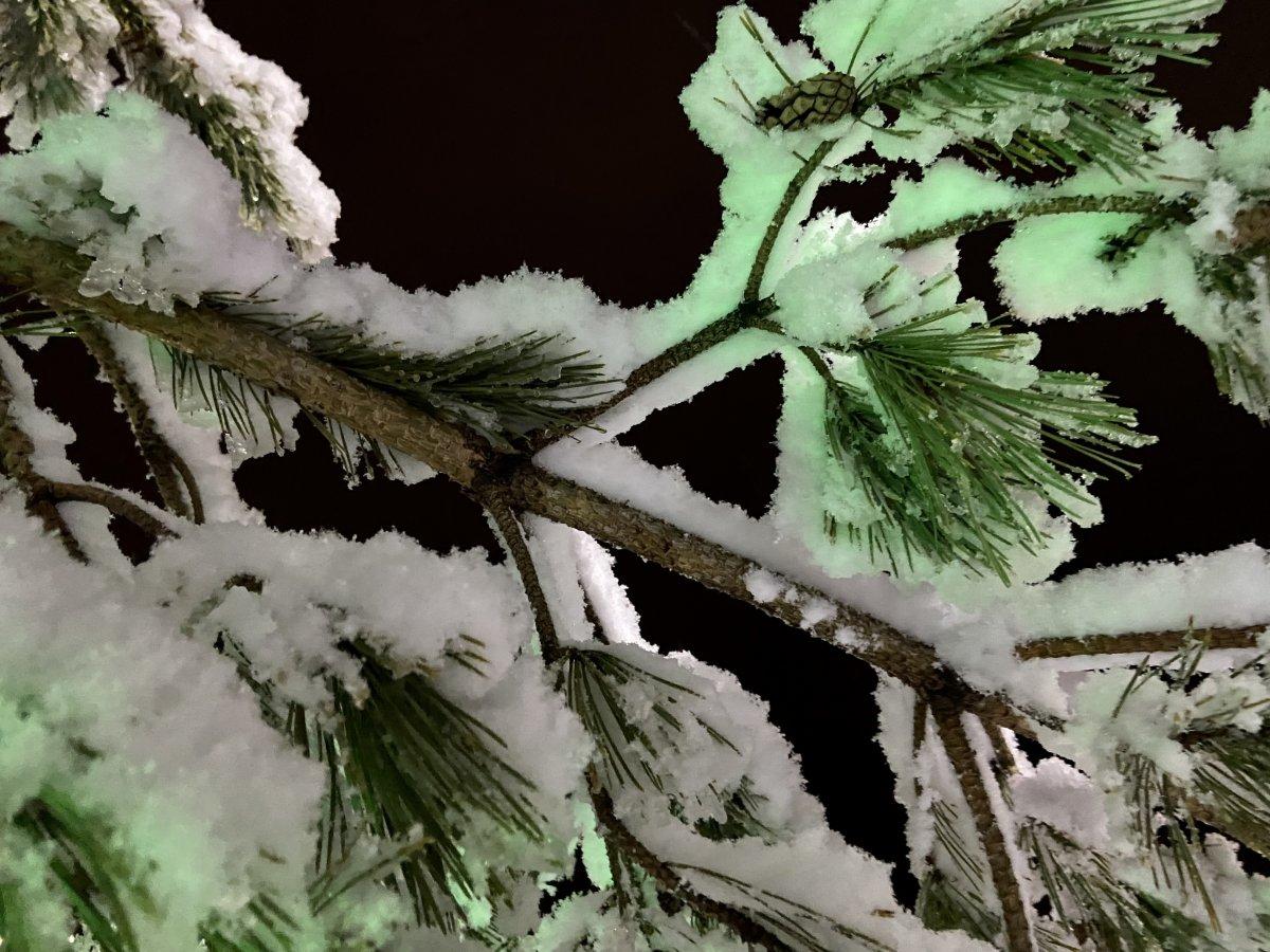 Ağrı beyaza büründü