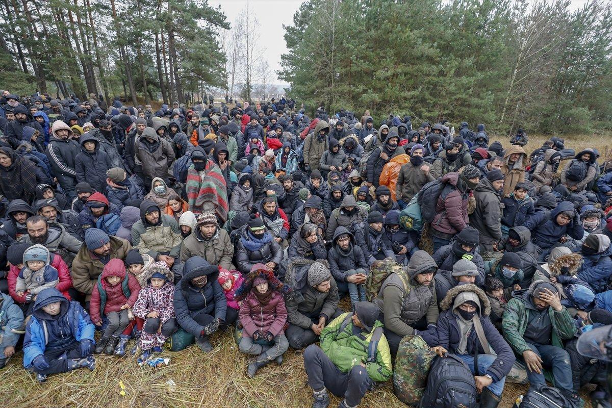 AA'nın 'Yılın Fotoğrafları' oylaması başladı