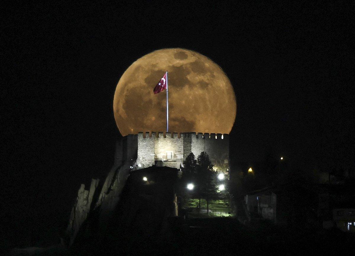 AA'nın 'Yılın Fotoğrafları' oylaması başladı