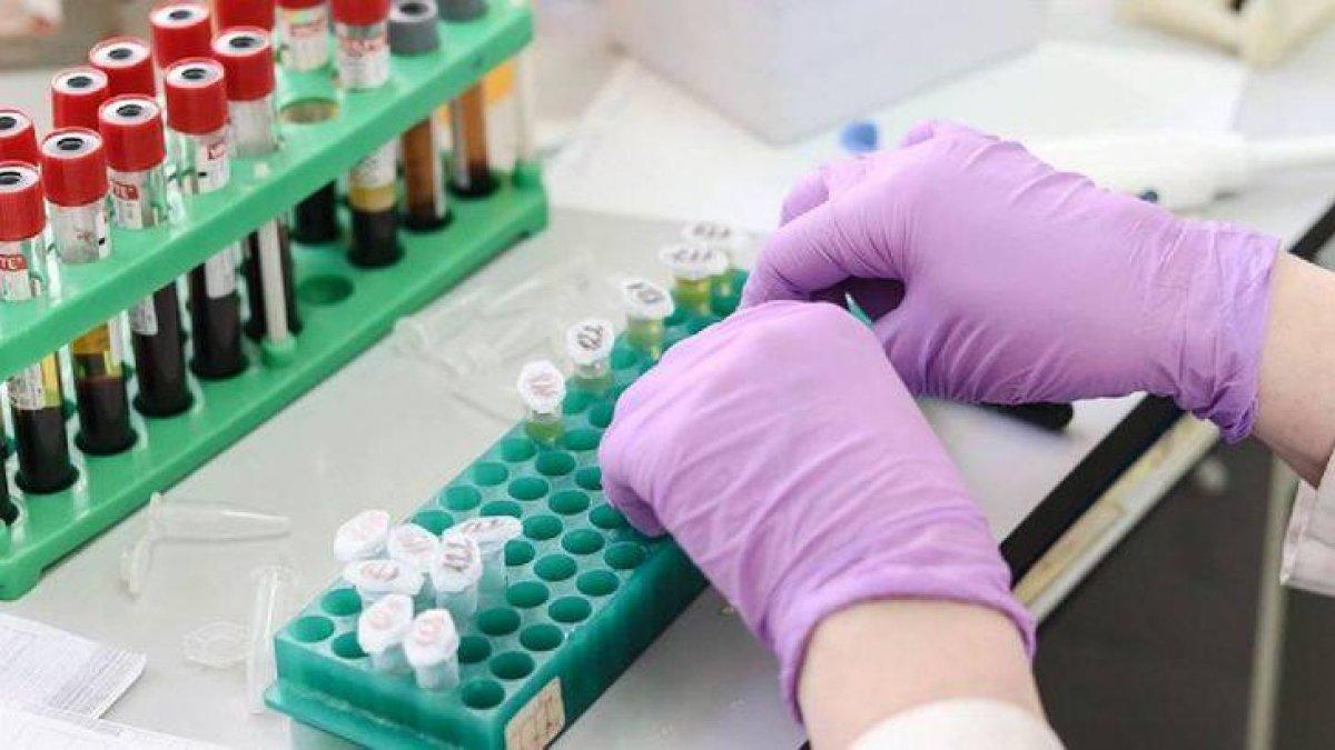 SMA taraması nedir, zorunlu mu oldu? SMA taraması nasıl yapılır, ücretli mi? Bakan Koca duyurdu!