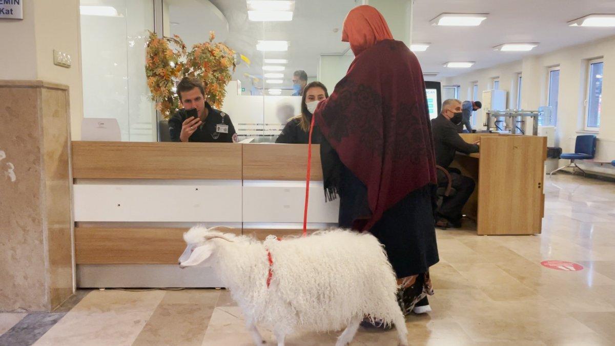 Ankara'da vergi borcunu yatırmaya keçisiyle gitti