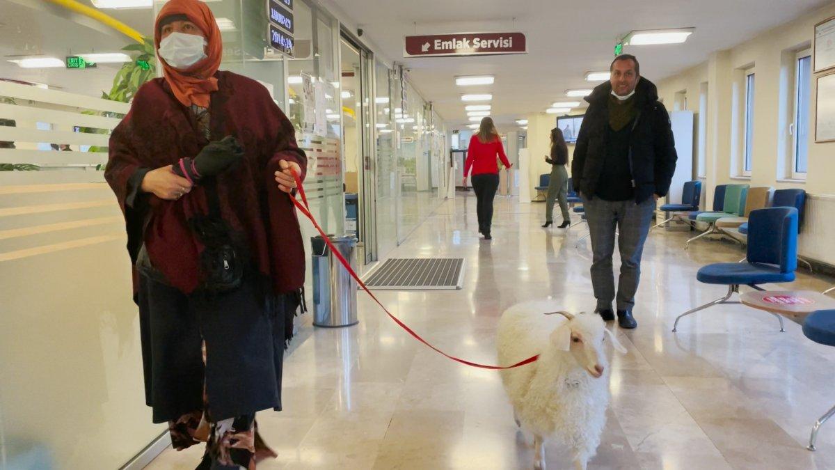 Ankara'da vergi borcunu yatırmaya keçisiyle gitti