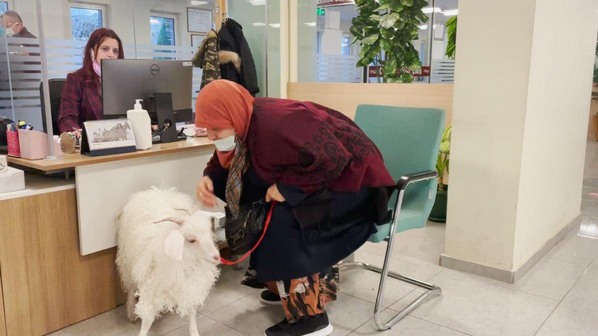 Ankara'da vergi borcunu yatırmaya keçisiyle gitti
