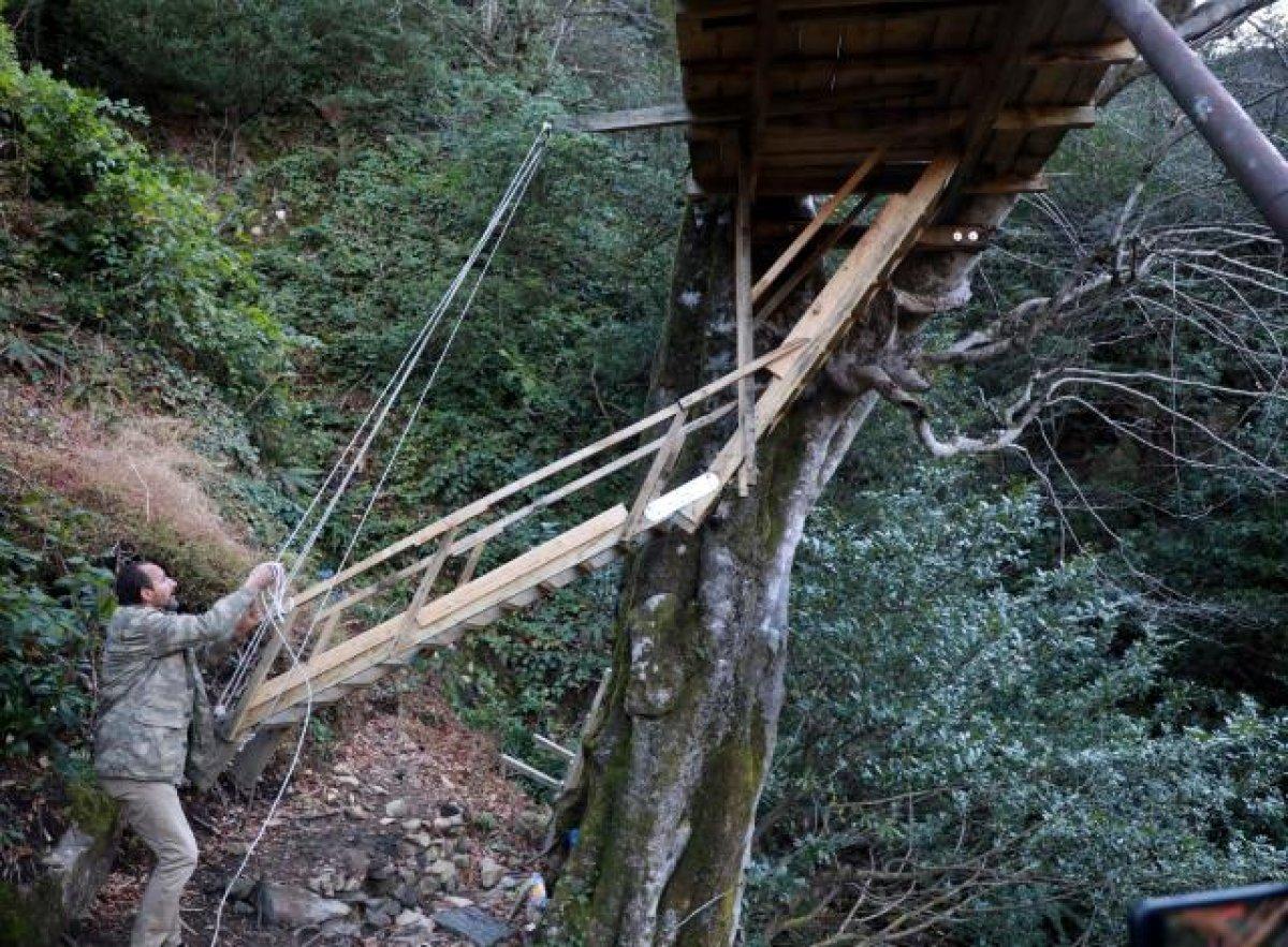 Rizeli vatandaş, ağaca ev yaptı