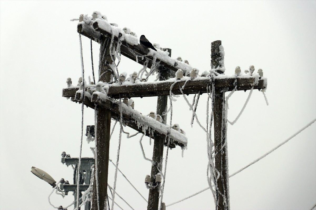 Ağrı'da dondurucu soğuklar etkisini gösterdi