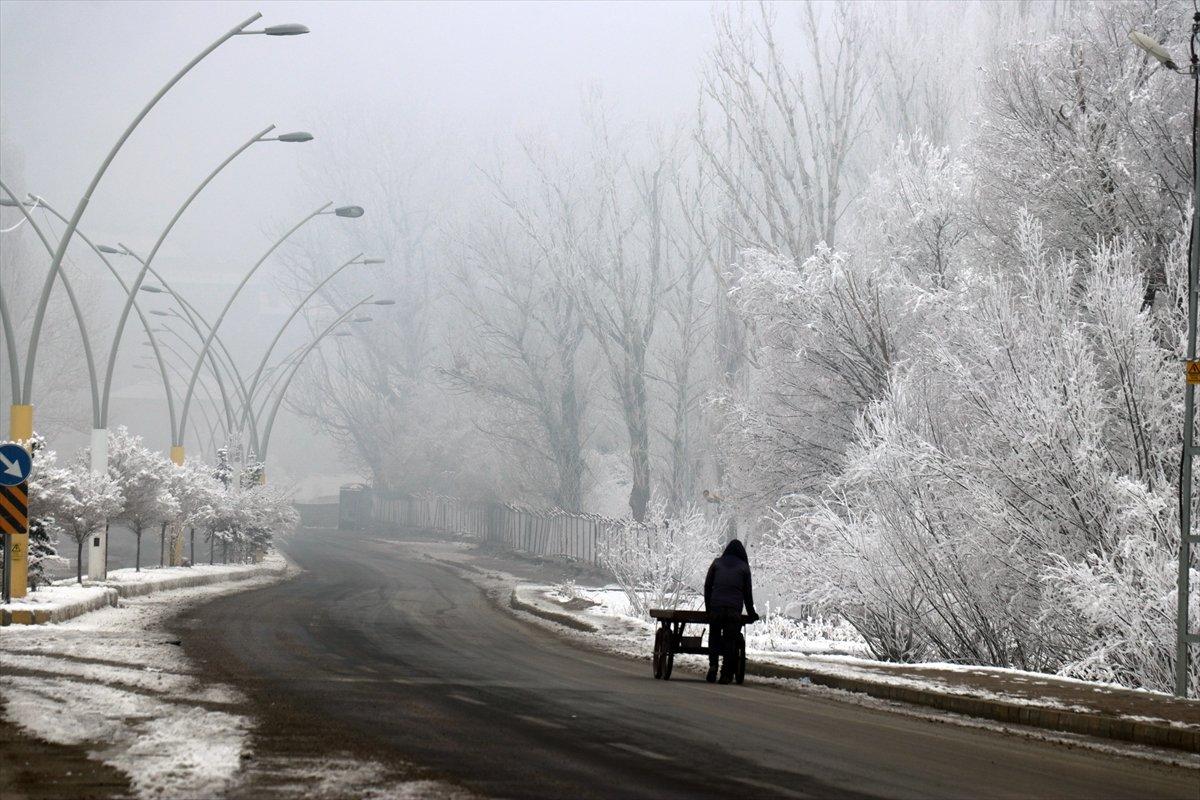 Ağrı'da dondurucu soğuklar etkisini gösterdi