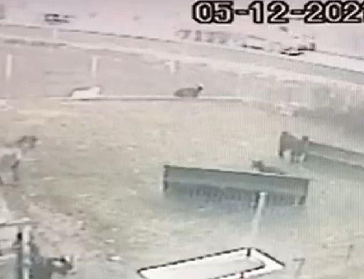 Burdur’da 4 kişinin öldüğü kazanın görüntüleri