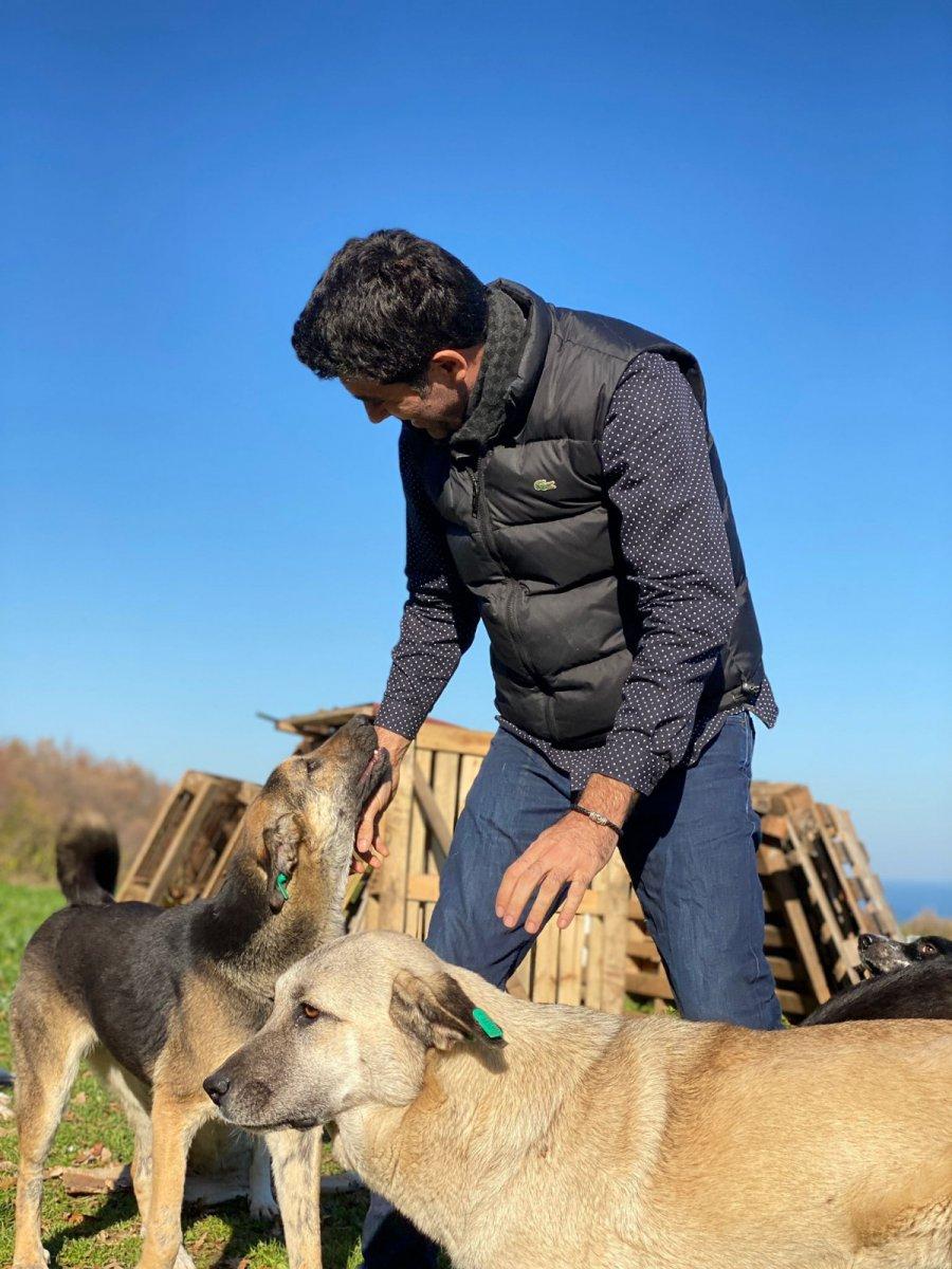 Samsun'da köpeği tekmeleyen hayvanları koruma derneği üyesi, istifa etti