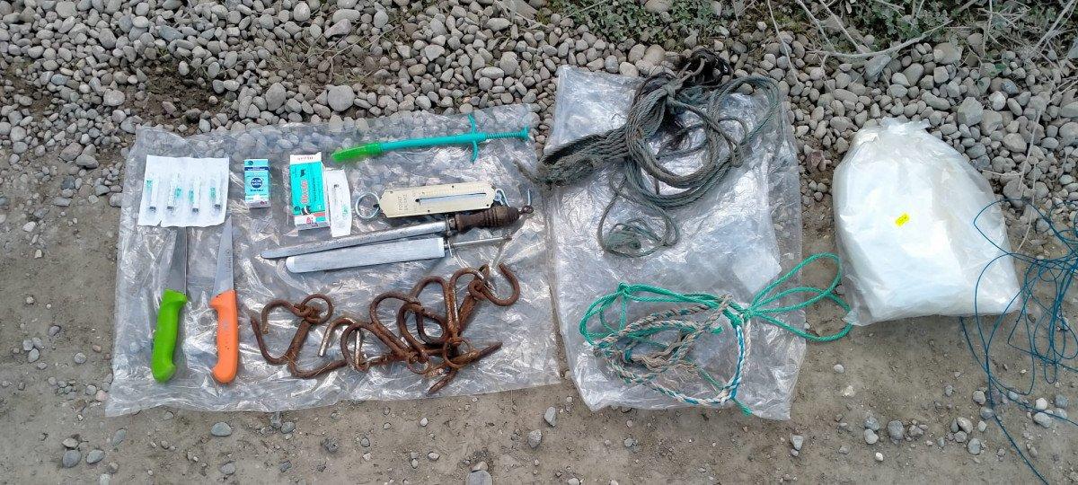 Sakarya'da kesilmek üzere farklı illerden getirilen 40 at kurtarıldı