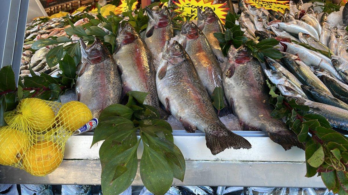 Yerli somon uygun fiyatlı ve lezzetli