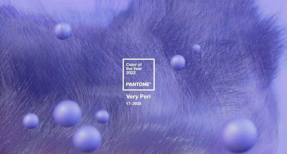 pantone_3003.jpg