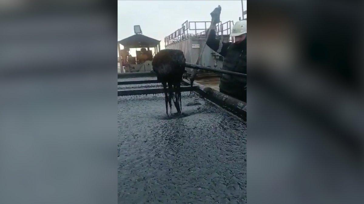 Türkiye-Suriye sınırında petrol keşfedildi