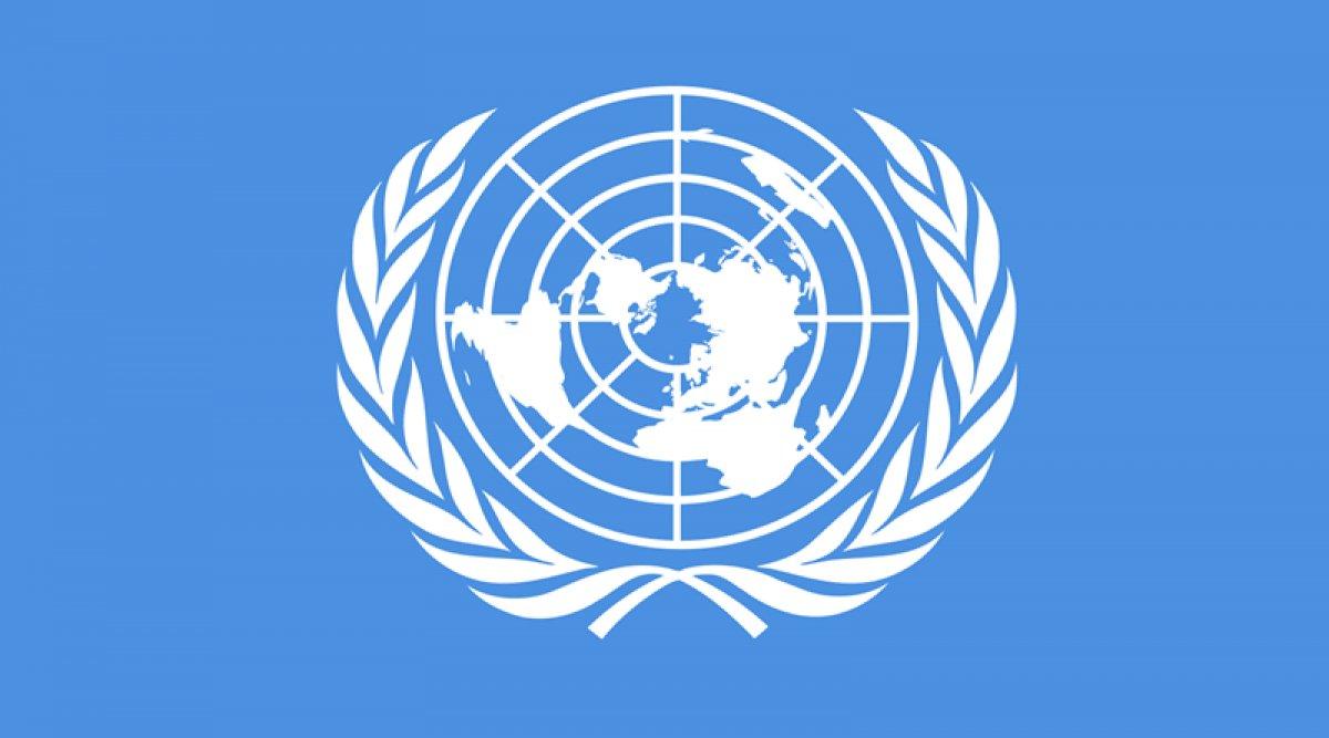 10 Aralık Dünya İnsan Hakları Günü: Madde madde insan hakları