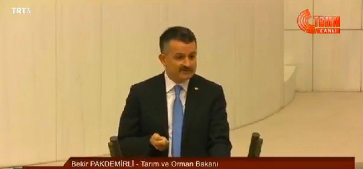 Bekir Pakdemirli: Yangınları biz çıkarmadık, söndürmek için canlar verdik