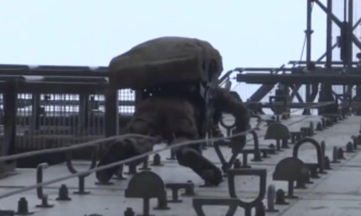 Komandoların eğitimlerinden nefes kesen görüntüler