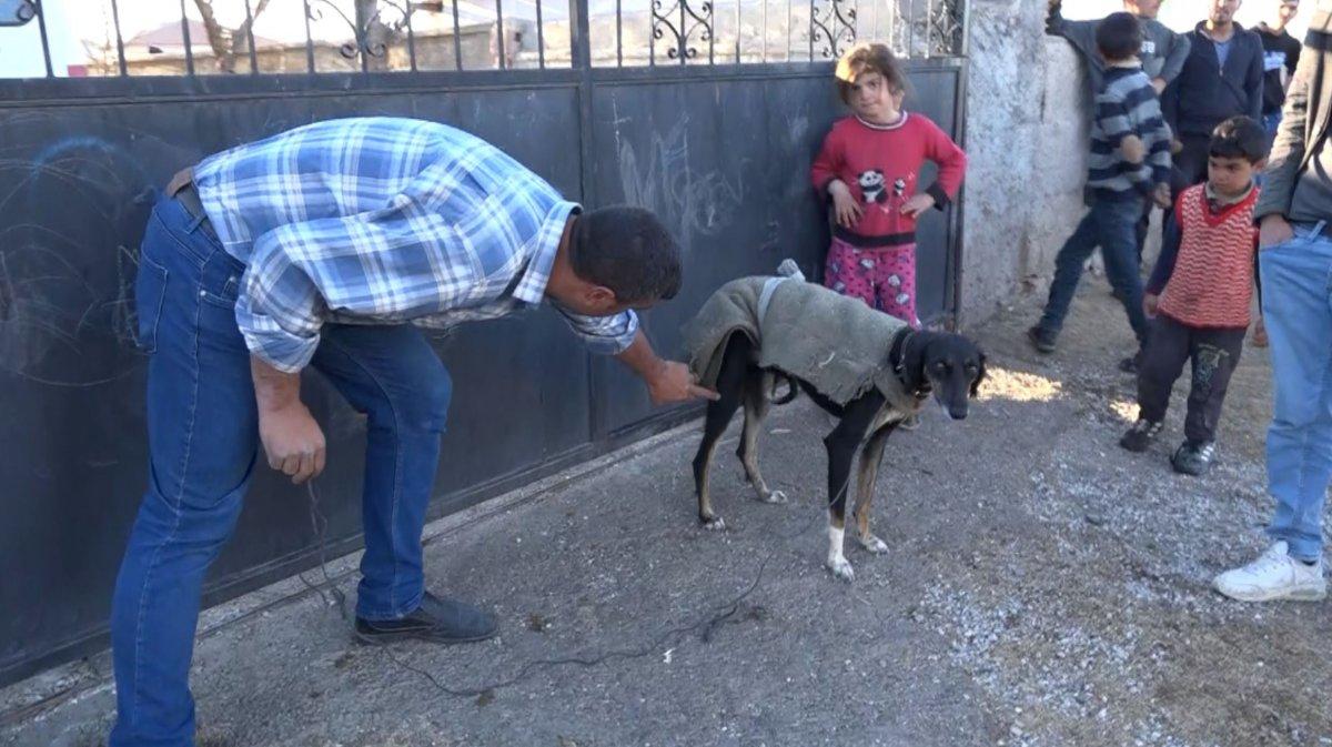 Aksaray'da köpek yumurtaları yedi, tüfek, taş ve sopalar konuştu