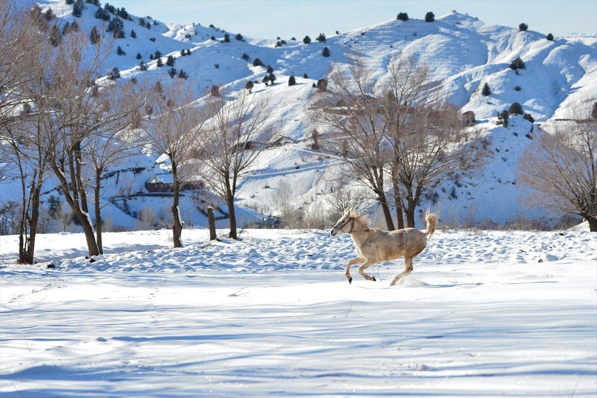 Tunceli'de kar etkisini yoğun gösterdi