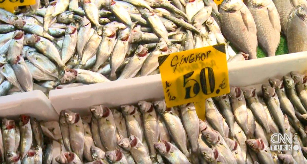 İstanbul'da lodos nedeniyle balık fiyatları yükseldi