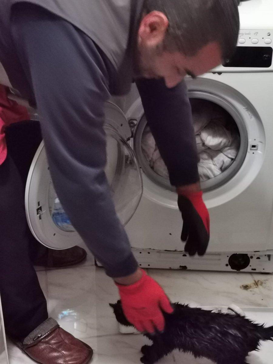Artvin'de evdeki kedi yanlışlıkla çamaşır makinesine atıldı