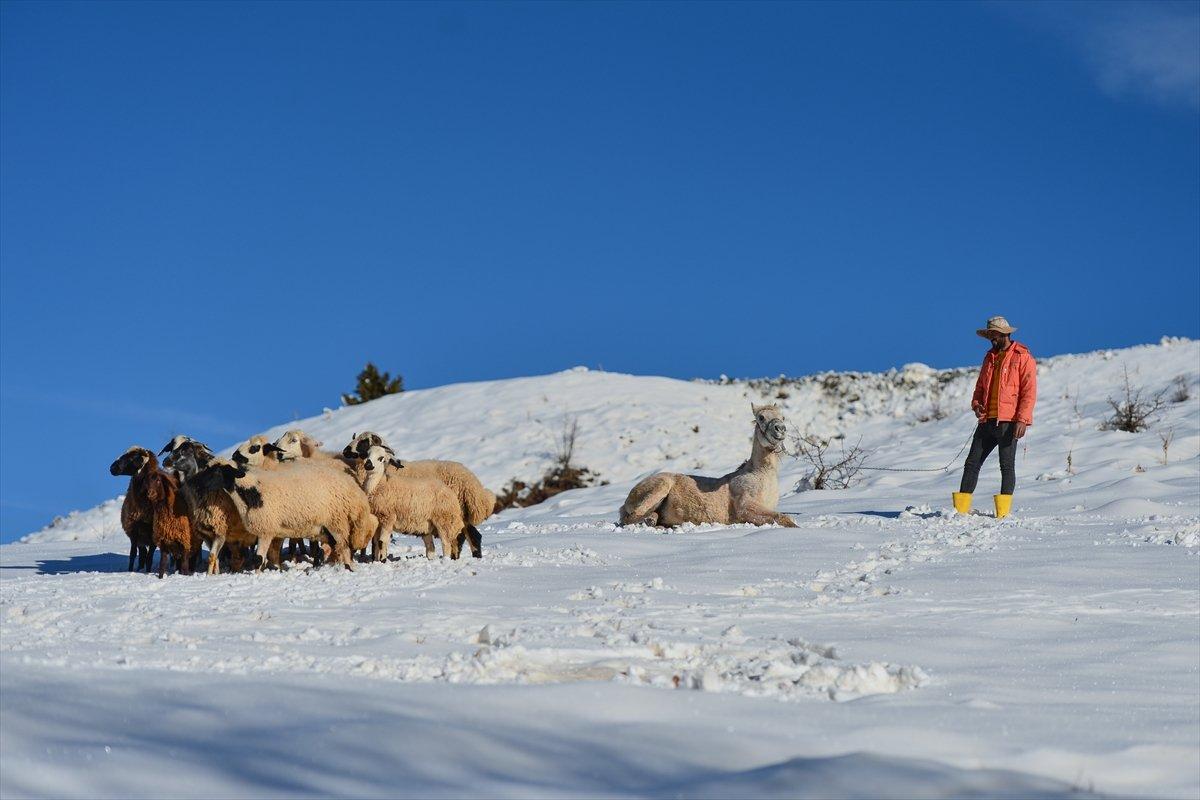 Tunceli'de kar etkisini yoğun gösterdi