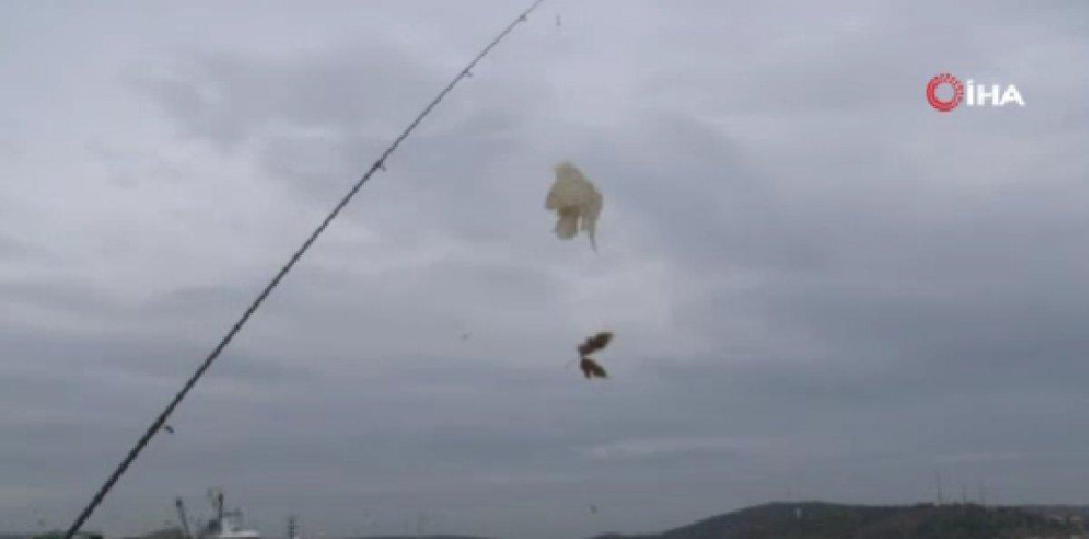 Sarıyer'de oltaya balık yerine çöp geldi