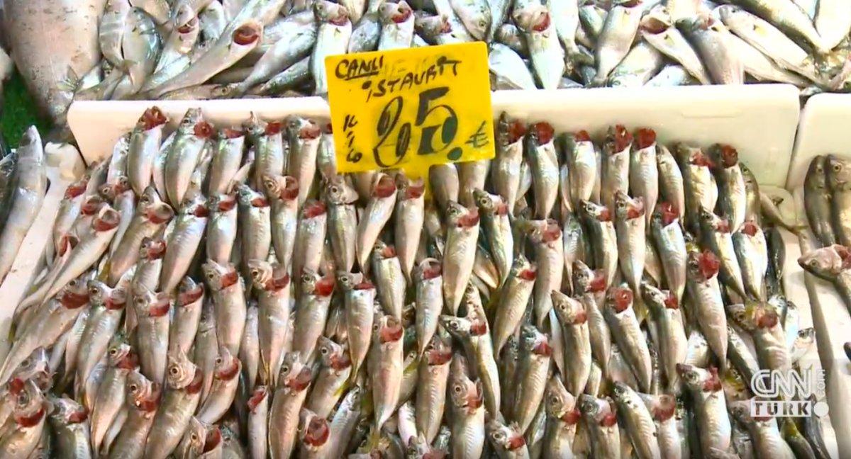 İstanbul'da lodos nedeniyle balık fiyatları yükseldi