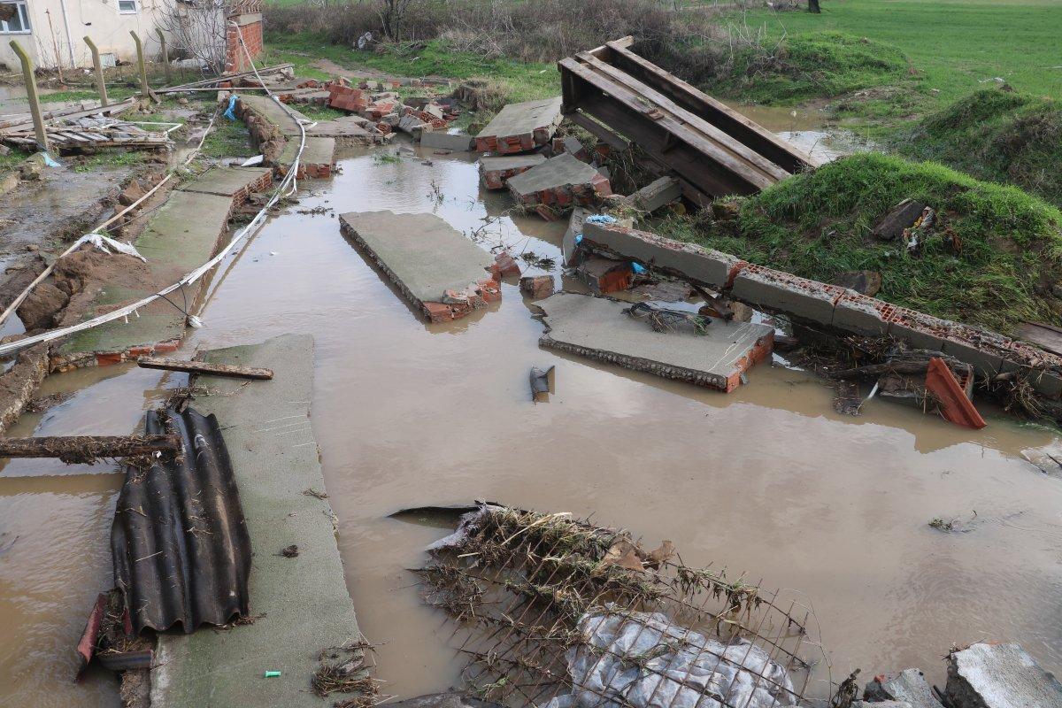 Edirne'de hayvanlar telef oldu