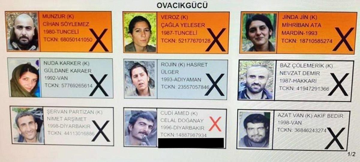 Tunceli Valiliği 9 teröristin öldürüldüğü operasyonu paylaştı