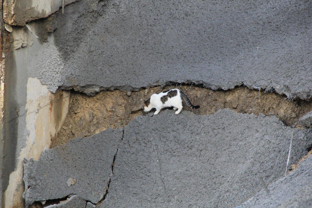 İzmir'de üzerine duvar yıkılan apartman sakinleri, günlerdir çözüm bekliyor