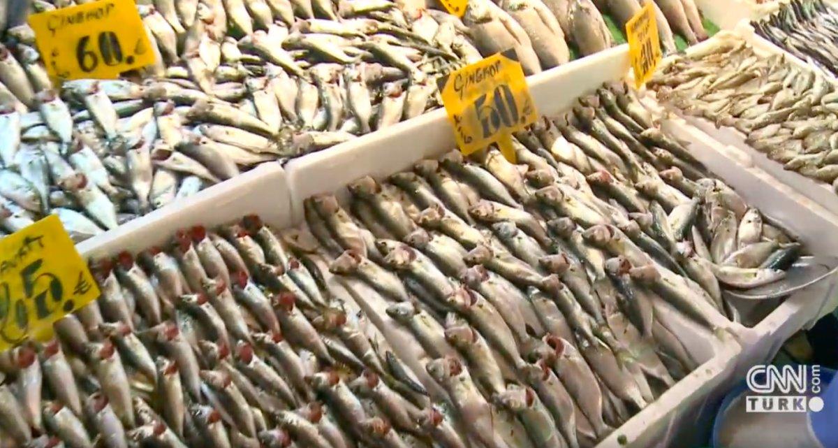 İstanbul'da lodos nedeniyle balık fiyatları yükseldi