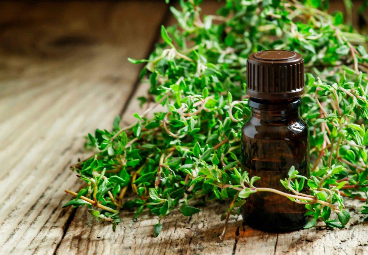 Soğuk algınlığı düşmanı kekik yağının 8 faydası