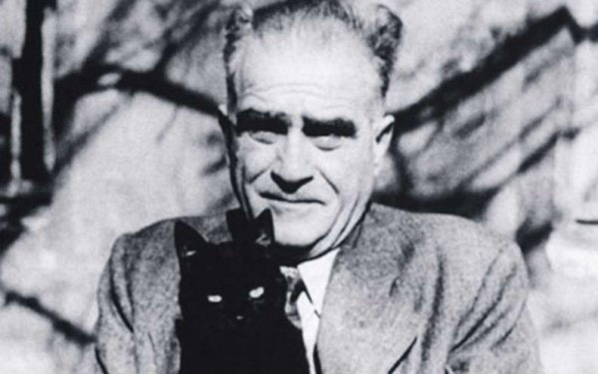 Geç Kalan Adam: Ahmet Hamdi Tanpınar biyografisi