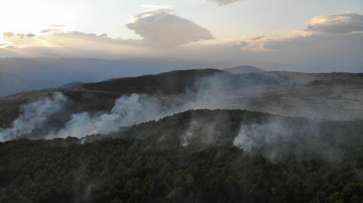 Tokat’ta orman yangını kontrol altına alındı